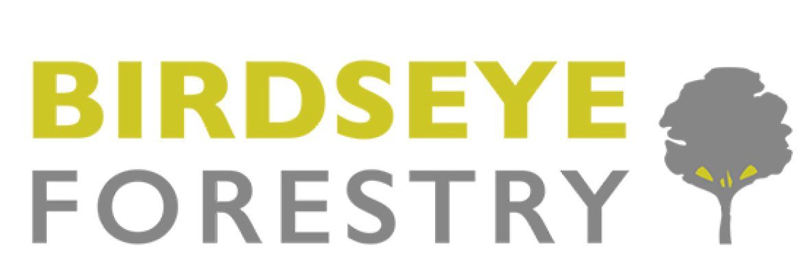 Birdseye Forestry Consulting, LLC